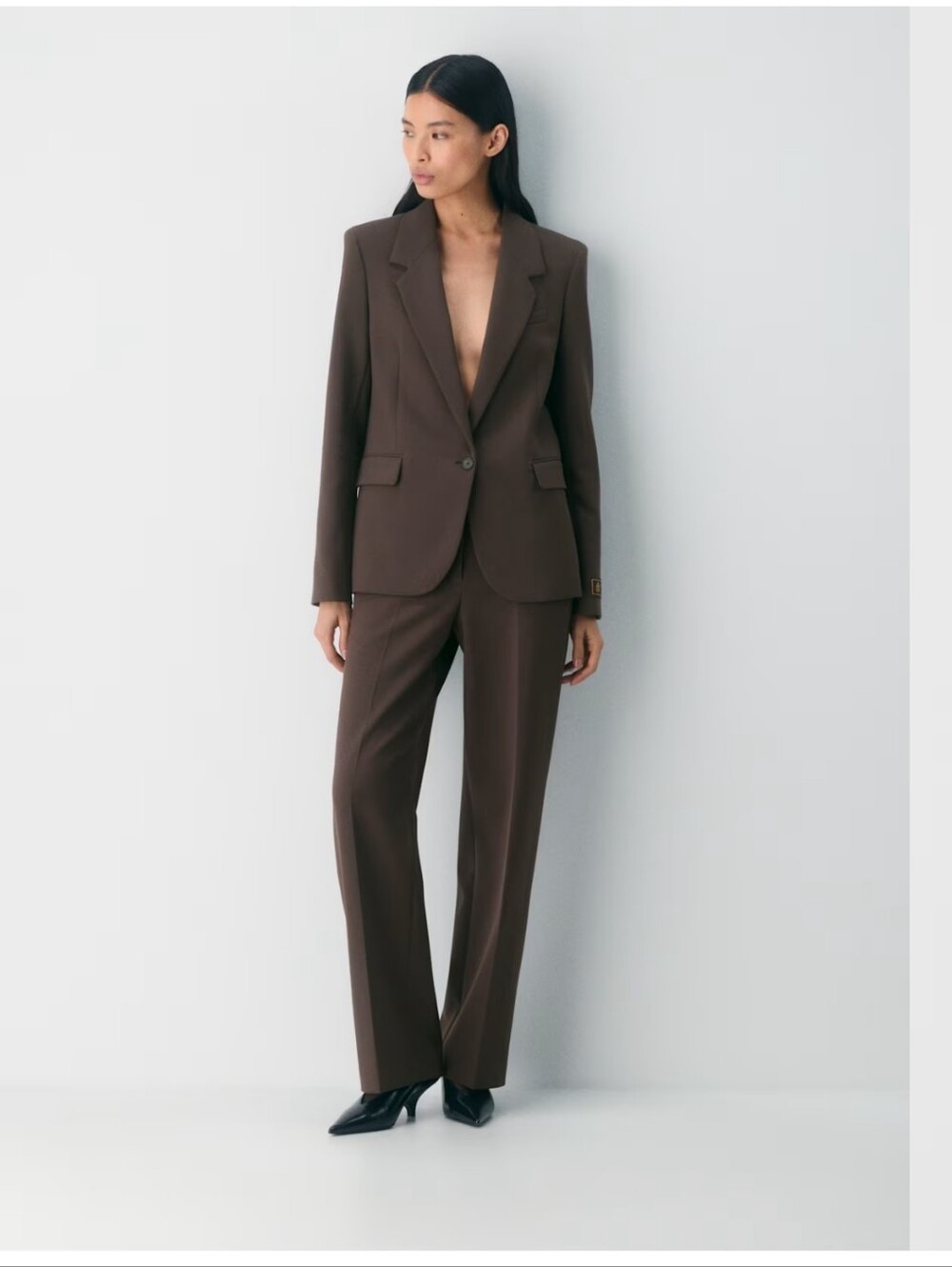 Aritzia Babaton Producer Blazer
